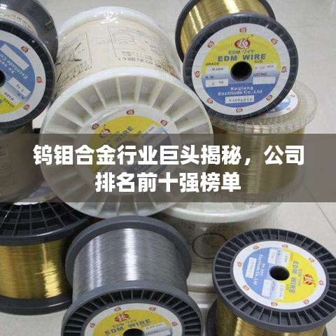 钨钼合金行业巨头揭秘,公司排名前十强榜单