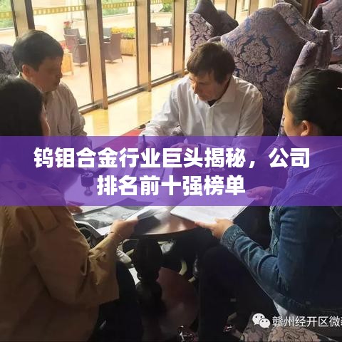 钨钼合金行业巨头揭秘,公司排名前十强榜单