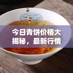 沉厚寡言 第4页