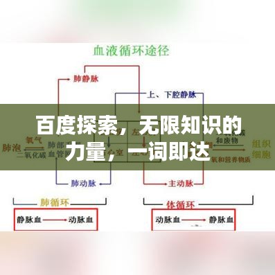 百度探索,无限知识的力量,一词即达
