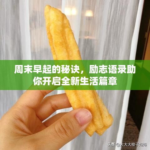 周末早起的秘诀,励志语录助你开启全新生活篇章