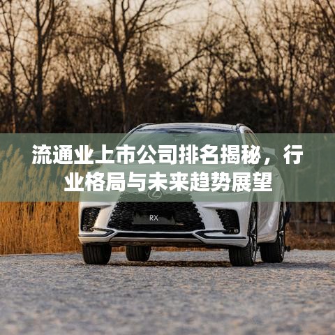 流通业上市公司排名揭秘,行业格局与未来趋势展望