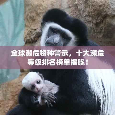 全球濒危物种警示，十大濒危等级排名榜单揭晓！