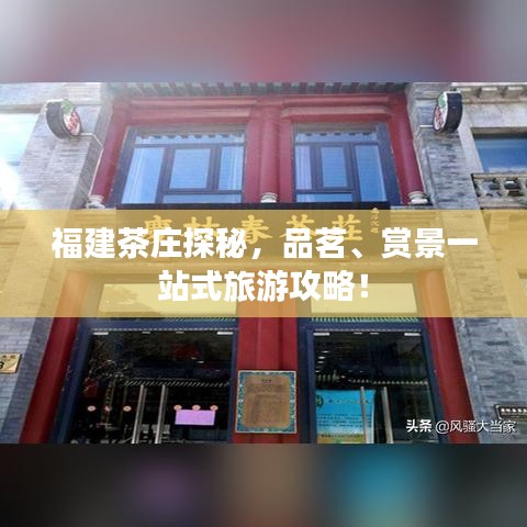 福建茶庄探秘,品茗、赏景一站式旅游攻略!
