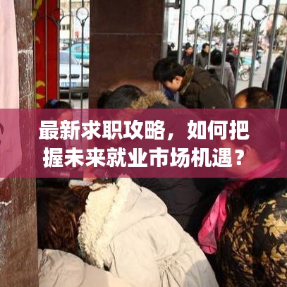 最新求职攻略,如何把握未来就业市场机遇?