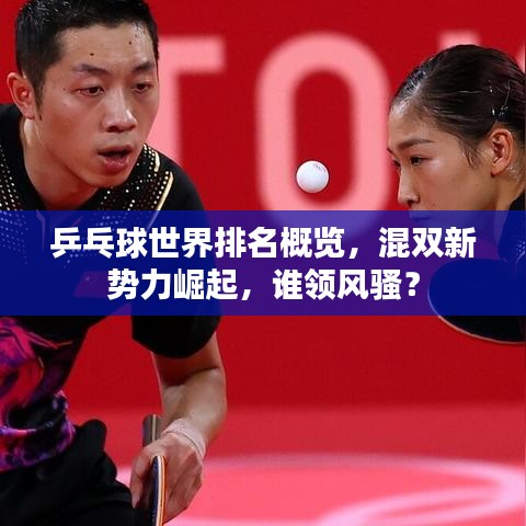 乒乓球世界排名概览,混双新势力崛起,谁领风骚?