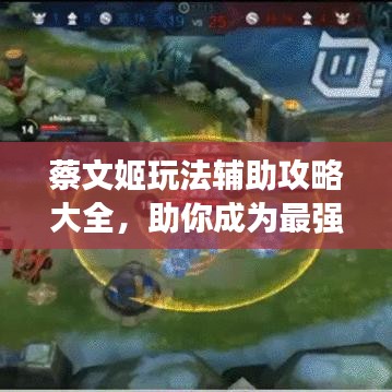 蔡文姬玩法辅助攻略大全，助你成为最强辅助！