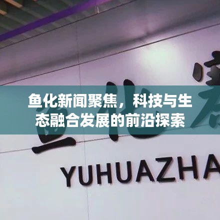 鱼化新闻聚焦,科技与生态融合发展的前沿探索