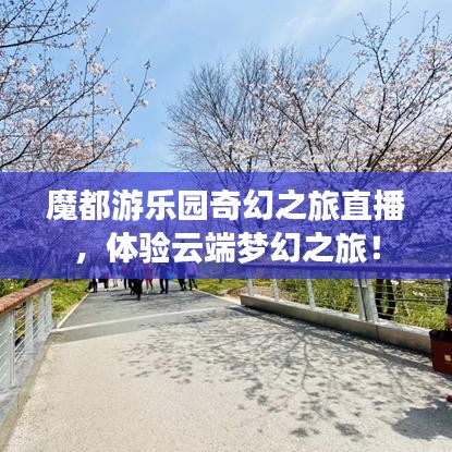 魔都游乐园奇幻之旅直播，体验云端梦幻之旅！