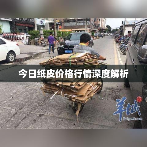 今日纸皮价格行情深度解析