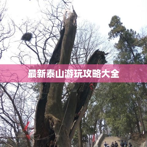 最新泰山游玩攻略大全