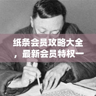 纸条会员攻略大全，最新会员特权一网打尽！