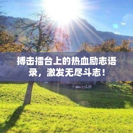 搏击擂台上的热血励志语录，激发无尽斗志！