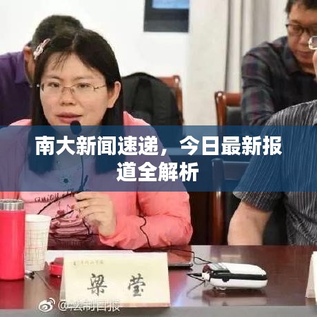 南大新闻速递，今日最新报道全解析
