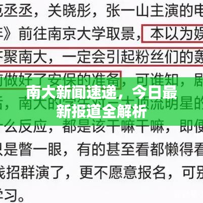 南大新闻速递,今日最新报道全解析