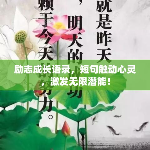 励志成长语录，短句触动心灵，激发无限潜能！