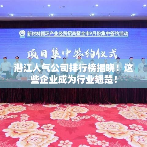 潜江人气公司排行榜揭晓！这些企业成为行业翘楚！