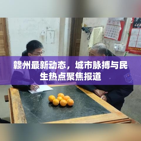 赣州最新动态,城市脉搏与民生热点聚焦报道