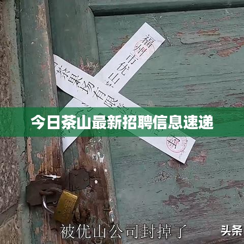 今日茶山最新招聘信息速递