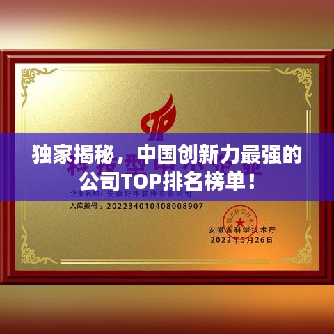 独家揭秘,中国创新力最强的公司TOP排名榜单!