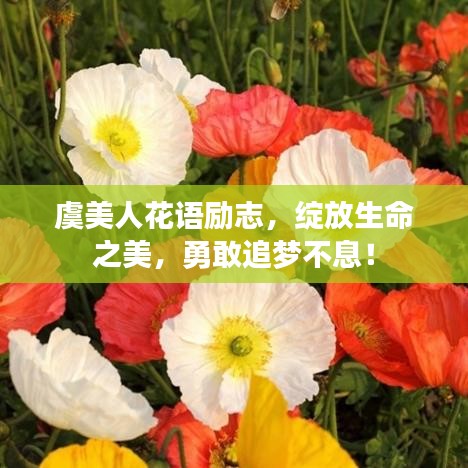 虞美人花语励志，绽放生命之美，勇敢追梦不息！