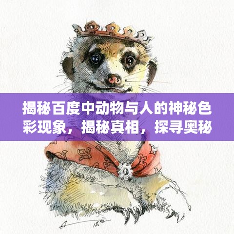 揭秘百度中动物与人的神秘色彩现象,揭秘真相,探寻奥秘