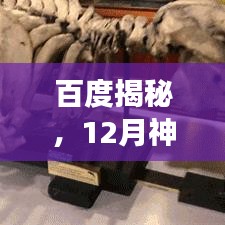 百度揭秘,12月神秘日子,你错过了吗?