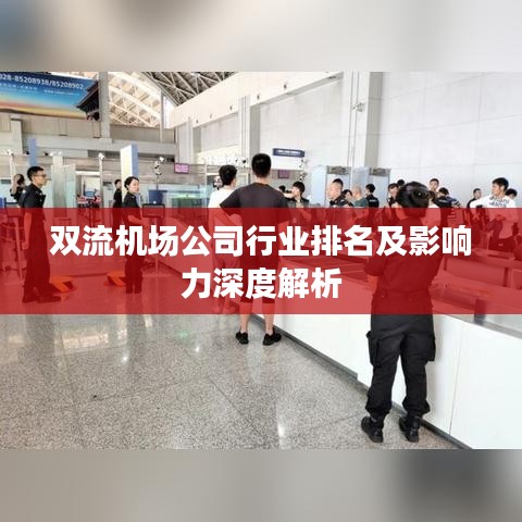 双流机场公司行业排名及影响力深度解析