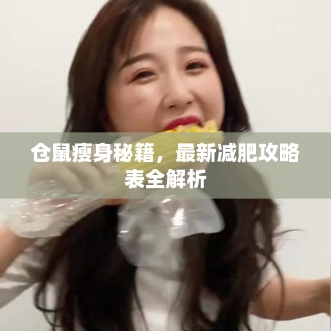 仓鼠瘦身秘籍，最新减肥攻略表全解析