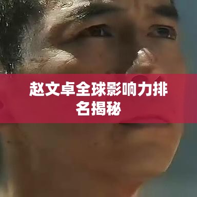 赵文卓全球影响力排名揭秘