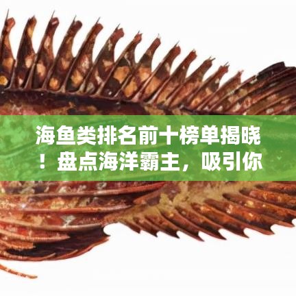 海鱼类排名前十榜单揭晓！盘点海洋霸主，吸引你的目光！