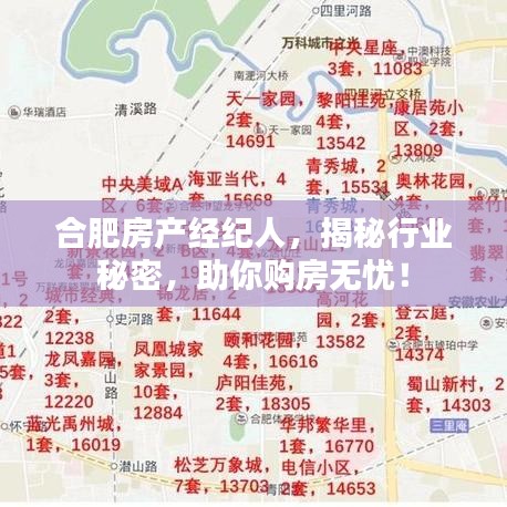 合肥房产经纪人，揭秘行业秘密，助你购房无忧！