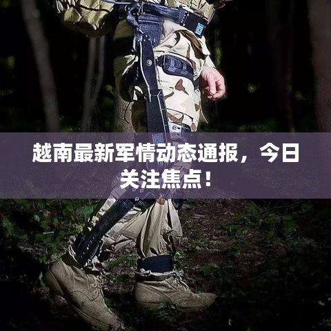 越南最新军情动态通报,今日关注焦点!