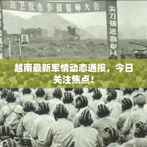 越南最新军情动态通报,今日关注焦点!
