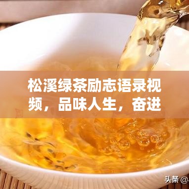 松溪绿茶励志语录视频，品味人生，奋进不息