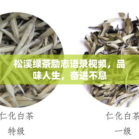 松溪绿茶励志语录视频,品味人生,奋进不息
