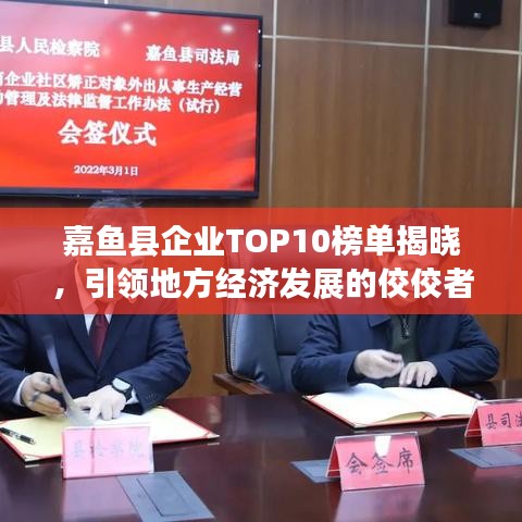 嘉鱼县企业TOP10榜单揭晓，引领地方经济发展的佼佼者