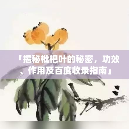 「揭秘枇杷叶的秘密,功效、作用及百度收录指南」