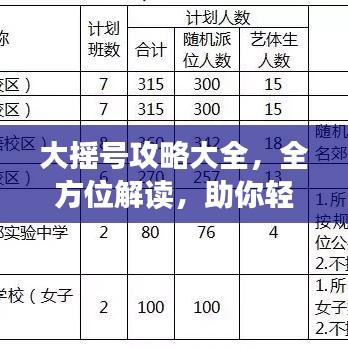 大摇号攻略大全,全方位解读,助你轻松成功!