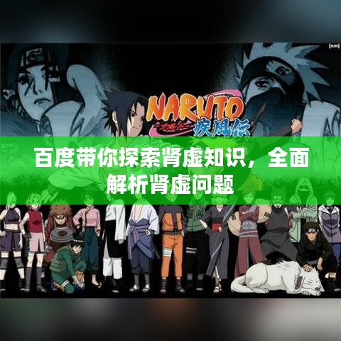 百度带你探索肾虚知识，全面解析肾虚问题