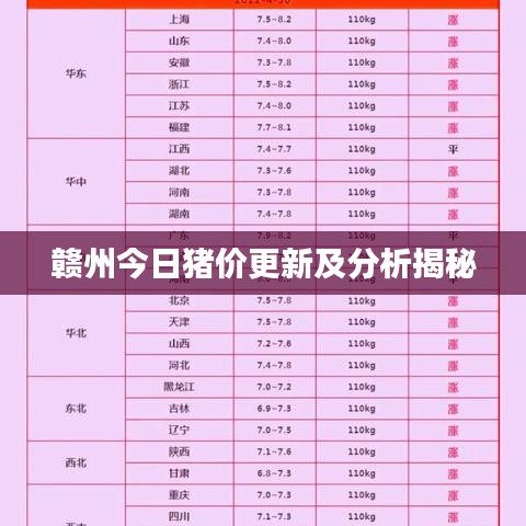 赣州今日猪价更新及分析揭秘