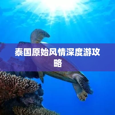 泰国原始风情深度游攻略