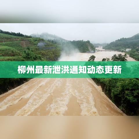 柳州最新泄洪通知动态更新