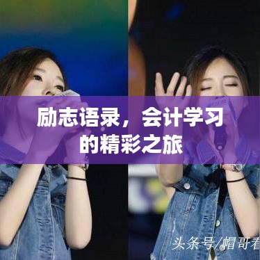 励志语录，会计学习的精彩之旅