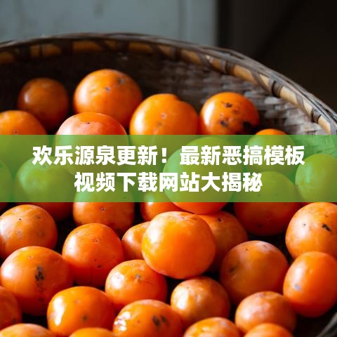 欢乐源泉更新！最新恶搞模板视频下载网站大揭秘