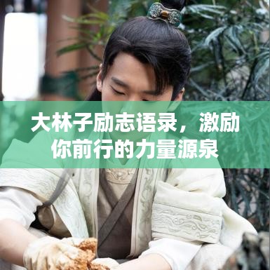 大林子励志语录,激励你前行的力量源泉