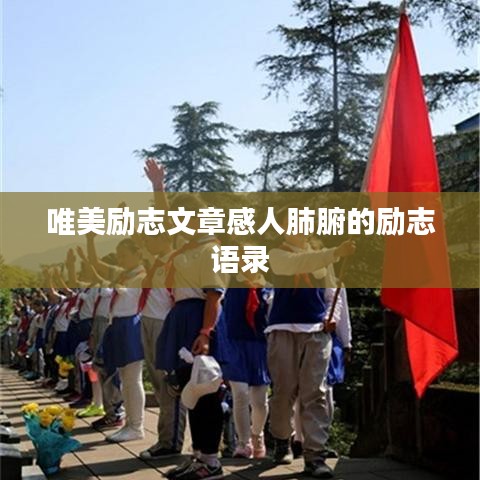 唯美励志文章感人肺腑的励志语录