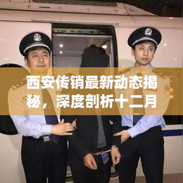 西安传销最新动态揭秘,深度剖析十二月六日事件