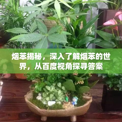 烟苯揭秘，深入了解烟苯的世界，从百度视角探寻答案