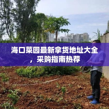 海口菜园最新拿货地址大全,采购指南热荐
